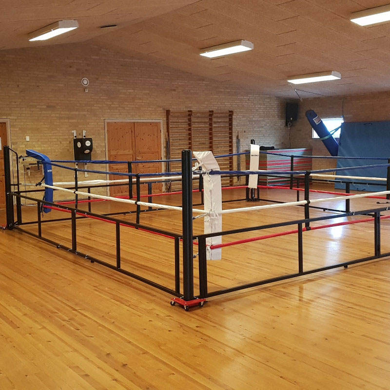 Boxing Academy Rough House Gym Boxing Fun Boxing Ring For Kids