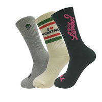 Chaussettes de sport Cool Design classique Logo de tricot personnalisé Chaussettes confortables de haute qualité pour hommes