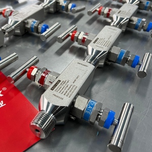 NAI LOK SS316 2 通阀组 远程安装式二通阀组 1/2 NPT 6000psi <span class=keywords><strong>3</strong></span> 5 通仪表阀组 - Product Image 1
