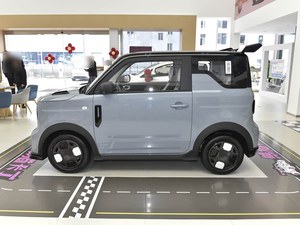 2025年新款吉利熊猫快充功能三门四座掀背式电动车迷你车廉价车适合日常通勤 - Product Image 2