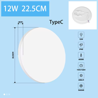 Détecteur de mouvement 6m 18/20W Plafonnier LED Design Moderne Alimenté par Batterie pour Chambre Balcon Couloir Éclairage Intelligent pour la Maison