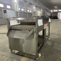 Dubbellaagse commerciële suikerrietwasmachine, suikerrietwas- en reinigingsmachine, suikerrietreiniger