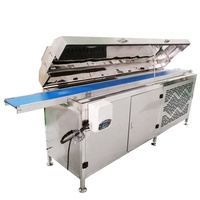 Machine d'emballage et de fusion de chocolat oem, haute pureté, pour couvrant le chocolat, couveuse à vendre
