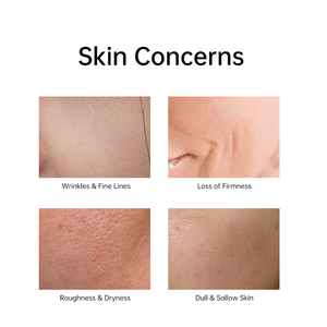 Siero Idratante Triplo Effetto P.C.P con Pro-Xylane, Acido Ialuronico e Peptidi, Siero Viso Anti-Età e Rassodante OEM/ODM - Product Image 2