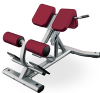 Chaise romaine en acier Freeman, la plus vendue, pour l'entraînement de force, équipement de gym à domicile, banc d'hyper-extension