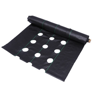 Toile anti-herbe perforée en <span class=keywords><strong>PP</strong></span> noir, pliable, coupe-vent, facile à nettoyer, pour l'horticulture, l'agriculture et le désherbage des vergers - Product Image 4