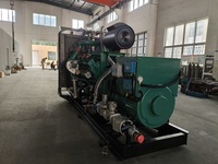 Groupe électrogène industriel de haute qualité 550 kVA au gaz naturel/gaz de synthèse, démarrage électrique 24 V, triphasé 50/60 Hz, IP23, excitation sans balais