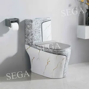Hot Sale High Quality Bathroom Sanitary Ware 300mm luxury toilet S-trap Siphonic Flush One Piece Toilet