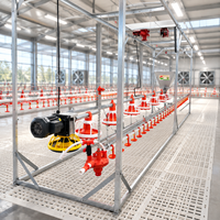 Ensemble d'équipements d'élevage avicole efficaces : mangeoires et abreuvoirs automatiques pour poulets de chair en élevage au sol