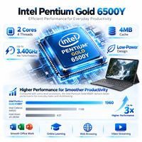 Laptop Tablet PC 2-in-1 Intel Pentium Gold 6500Y RAM 12GB SSD 256GB Layar IPS 11,97 Inci Keyboard Lepas Pasang Windows 11 Pro OEM