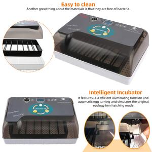 HHD Trứng Lồng Ấp Thương Hiệu 110V, 220V 12 Hoàn Toàn Tự Động YZ9-12 Gia Cầm Và Chim Cút Setter Và Ấp Trứng <span class=keywords><strong>CE</strong></span> Được Phê Duyệt Tiết Kiệm Năng Lượng - Product Image 5