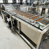Commerciële luchtbelwasmachine, transportbandtype, voor het reinigen van bladgroenten en garnalen in een verwerkingsfabriek