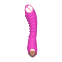 Vibrateur texturé à picots pour point G, 20 modes de vibration, silicone, rechargeable par USB, résistant à l'eau, OEM ODM, logo personnalisé