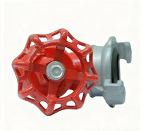 Hydrant d'incendie intérieur en fonte ductile de haute qualité 16K50 de 2 pouces pour la Russie et le Vietnam