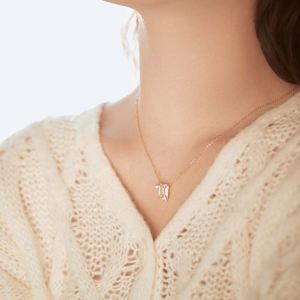 Dylam Charms Women Jewelry Link Chain a Alphabet 5A Zirconia Gradient Stone Crystal <b>Pendant</b> <b>Initial</b> 26 A-Z Letter Necklace - Product Image 4