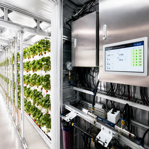 Contenedor de Cultivo de Fresas Aeropónico e Hidropónico Avanzado, Contenedor de Transporte para Agricultura Vertical Inteligente, Fábrica de Plantas - Product Image 4