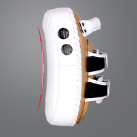 Cible de frappe personnalisée pour Taekwondo, équipement d'entraînement, cible pour les pieds, cible de boxe, double cible de frappe - Marque Wilon, Cuir Wolon