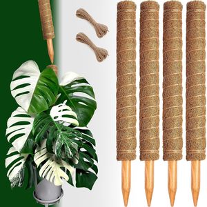 <span class=keywords><strong>Support</strong></span> de <span class=keywords><strong>Plantes</strong></span> Empilable en PVC+<span class=keywords><strong>Bois</strong></span> Anti-Pourriture 12-16 Pouces Écologique Résistant au Vent <span class=keywords><strong>pour</strong></span> Monstera et Bâtons d'Escalade de Jardin Intérieur - Product Image 2