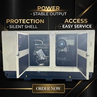 Groupe électrogène diesel silencieux Ricardo double fréquence 50Hz 60Hz 200kW 1500 tr/min insonorisé pour chantier de construction