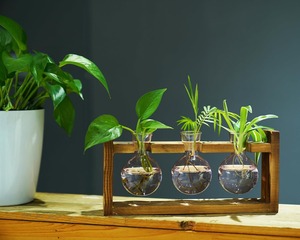 Vase en verre hydroponique moderne en forme de cœur, support de plante en bois, cadre en bois créatif, petit vase hydroponique - Product Image 5