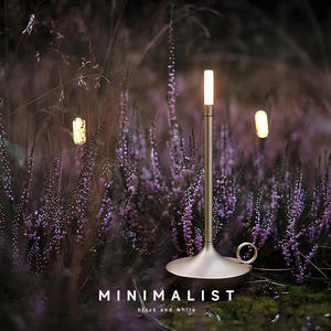 Lampe de table de style <span class=keywords><strong>Aladdin</strong></span> en métal rechargeable de style européen, camping en plein air, gradation tactile, lumière de nuit portable, lumière d'ambiance - Product Image 3