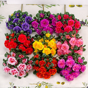 Bouquet de camélias artificiels Qianyun Floral Art, fleurs en plastique pour la décoration de jardin, style classique, durabilité. - Product Image 1