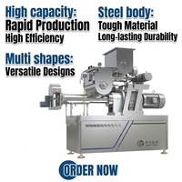 Machine à fabriquer des pâtes automatique, capacité de 100 kg/h, ligne de production