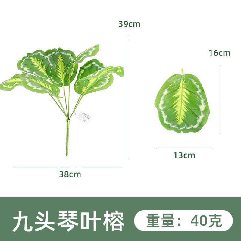 nine-headed qin ye rong 1