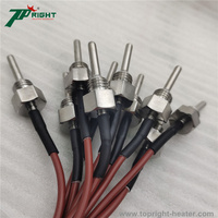 Sensor Pt100 de 5x25 mm con Rosca M12X1.75