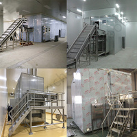 Industriële Groenten Fruit Bereid Voedsel Frieten Chips Berry Mango Blackberry Iqf Wervelbed Bed Bevriezing Machine