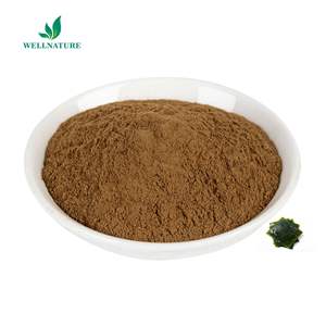 バルク純粋なラミナリアジャポニカエキス<span class=keywords><strong>Macrocystis</strong></span> Pyriferaエキス海藻昆布エキス - Product Image 1