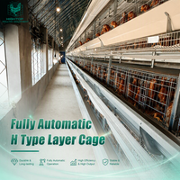Système de cages automatiques de type H pour poules pondeuses, optimisant le travail, pour fermes avicoles en climat tropical