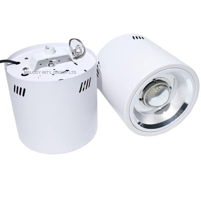 100w Surface Mounted led Downlight pendant project lamp down light dimmable 0-10V DILI Triac 6" 8" 6 8 inch 347V 277V 480v