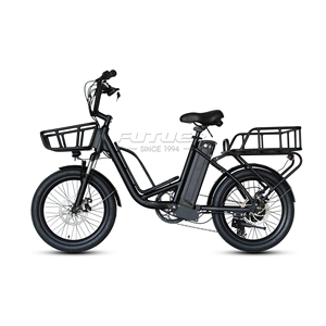 Bicicleta Eléctrica de Carga de 48v 350w con 2 Ruedas, 7 Velocidades y Desviador - Product Image 2