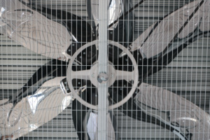 <span class=keywords><strong>Ventilateur</strong></span> d'extraction mural pour serre industrielle, directement de l'usine, efficace pour l'extraction de la chaleur, <span class=keywords><strong>ventilateur</strong></span> de ventilation pour volailles et porcheries - Product Image 6