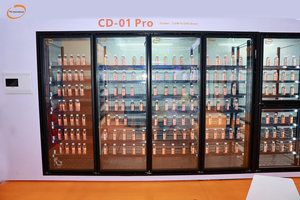 Commercial Parts Only Cooler Glass Door <b>Freezer</b> Display Cabinet Beverage Storage Showcase for supermarket - Product Image 2