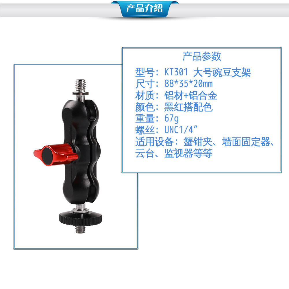 สแน็ปถั่วขนาดใหญ่