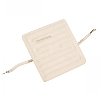 Chauffe-IR céramique incurvé à forme creuse 220V 600W 245*60mm pour le séchage d'encre d'impression et la séchage de textiles en sérigraphie