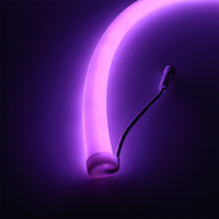 SHIJI Personnalisé Néon Flex D33mm 33mm Diamètre 360 degrés 24V Programmable DMX UCS512 WS2818 RGB Pixel LED Silicone Néon Bande Lumières
