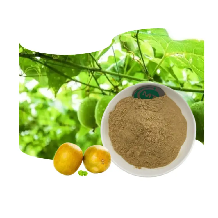Pure Sweetener Monk Fruit Extract Factory Supply Bulk Price Nature Mogroside V Organic Luo Han Guo Extract