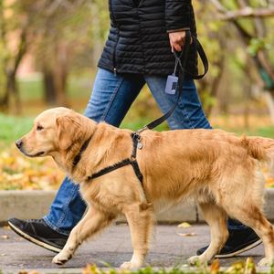 Support de sacs à déjections canines en silicone de qualité alimentaire personnalisable avec logo de marque, distributeur de sacs à crottes pour laisse de <span class=keywords><strong>chien</strong></span> rétractable - Product Image 6