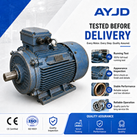 Moteur électrique asynchrone d'occasion 185 kW triphasé 4 pôles 1500 tr/min, résistant aux chocs, pour entraînement principal de concasseur, usage minier