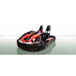 FL200D Dual Control Go Kart Family Entertainment Corps léger Faible coût d'exploitation - Product Image 4