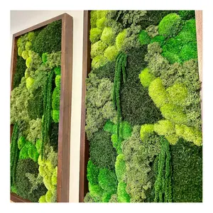 Linwoo 대형 보존 회양목 안정화 가짜 녹색 모의 식물 실내 벽 예술 8pcs 무료 인공 이끼 잔디 벽 패널