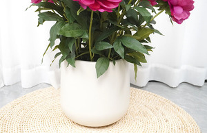 Flores de Peonía en Maceta Más Vendidas de Oh Arts, Planta Artificial de Peonía Verde en Maceta de Plástico para Decoración de Interiores - Product Image 3