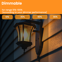 Ampoule LED à filament multi-CCT personnalisable G16.5 G50, verre ambré, 2W 4W 5.5W, globe en verre E12 pour éclairage suspendu décoratif