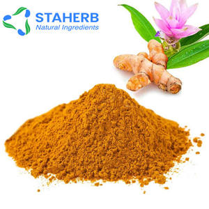 مسحوق الزنجبيل الأصفر من Curcumin Curcuma Longa Rhizoma Rhizoma Longae Longae - Product Image 1
