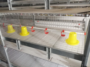 Equipo Avícola, Comedero para Pollos y Patos, Material para Barriles, Bebedero, Fregadero para Jaulas y Cría al Aire Libre - Product Image 5