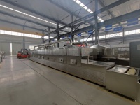 Petit tunnel de déshydratation de calmar Écrou de four et noyau Moringa Leaf Hazlenut Fish Machine à micro-ondes sèche industrielle