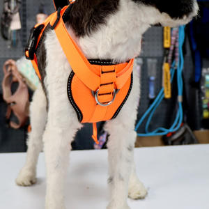 Conjunto de arnés y correa para perros personalizado al por mayor, chaleco reflectante para perros grandes sin tirones de nailon, conjunto de arnés y correa ajustable para adiestramiento de mascotas - Product Image 5